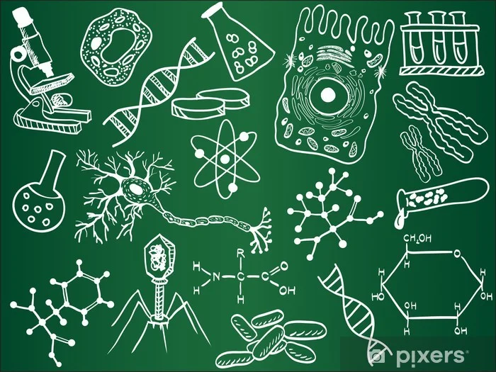 EP Biologie Vorbereitungskurs